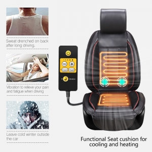 Seat Cushion (Cooling & Heating & Vibrating)